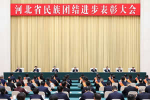 避免被站外镜像带偏